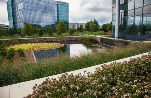 pond at franklin park